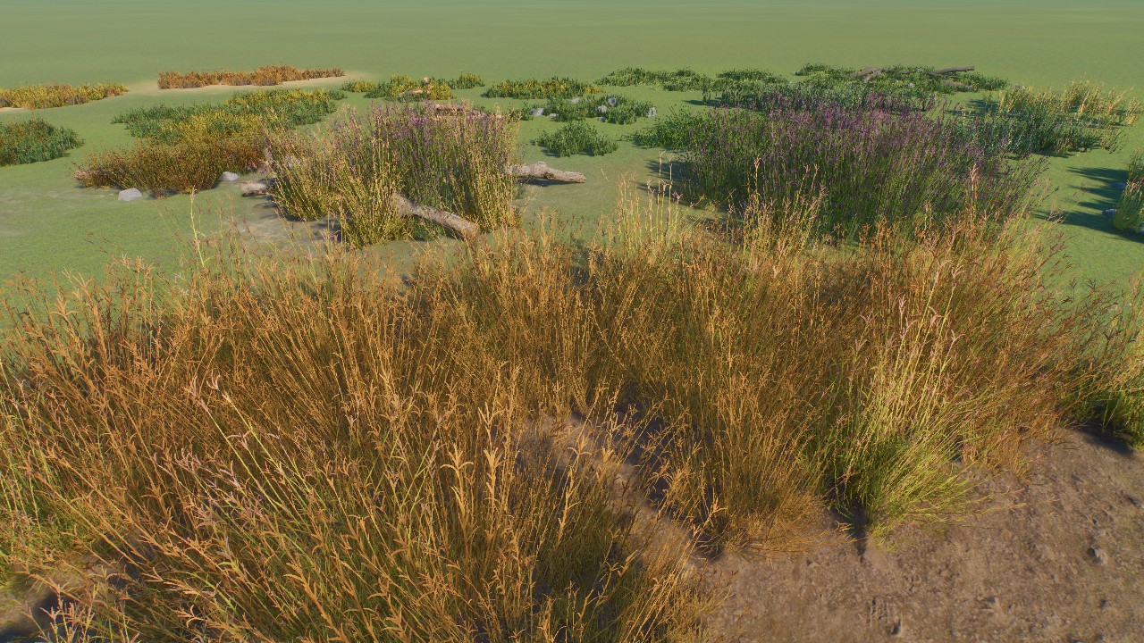 Additional Grass Areas