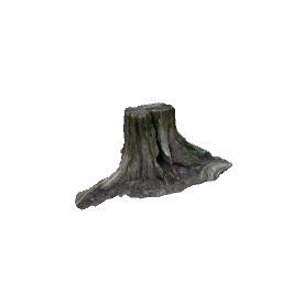 Stump