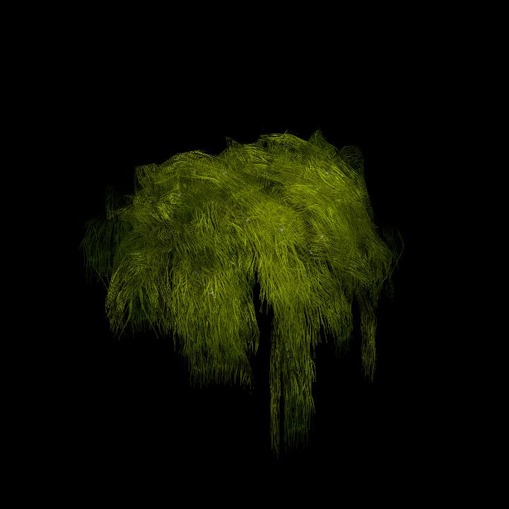 SwampTussockFloor_9