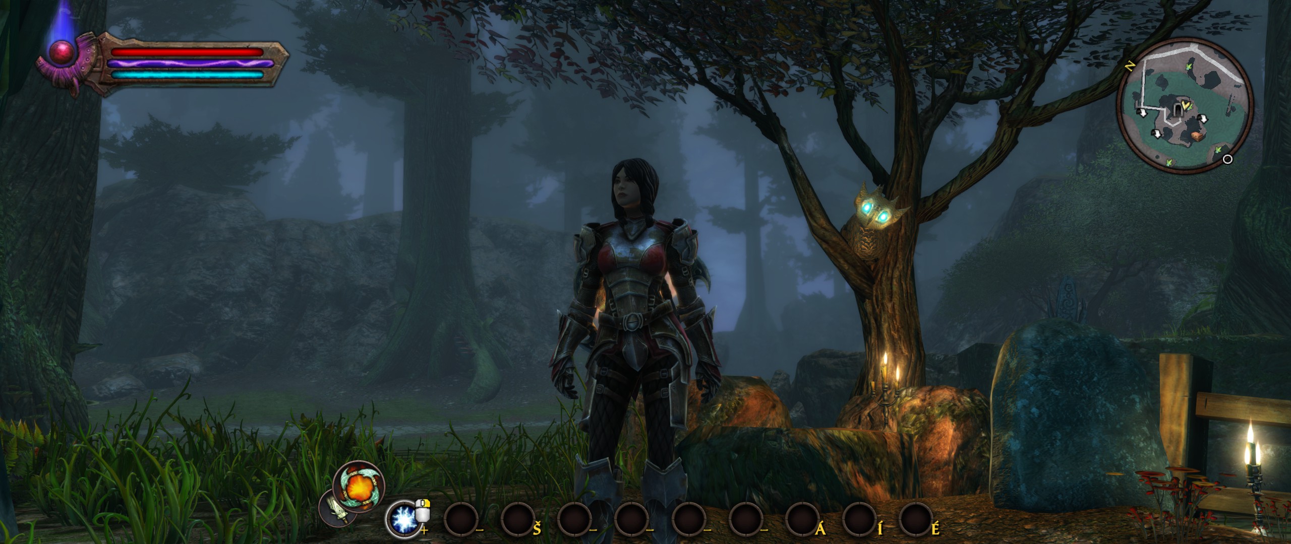 Геймплей Kingdoms of Amalur: Re-Reckoning