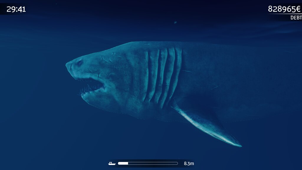 【FaB】Loan Shark GF 闇金鮫 FaB】Loan Shark GF 闇金鮫 FaB】Loan Shark GF 闇金鮫 JPN