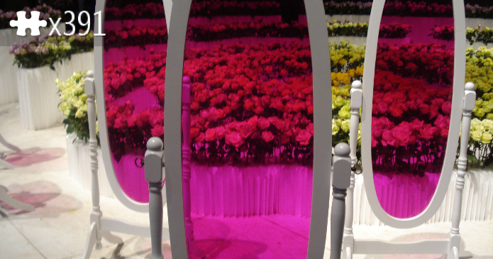 2011 flower show