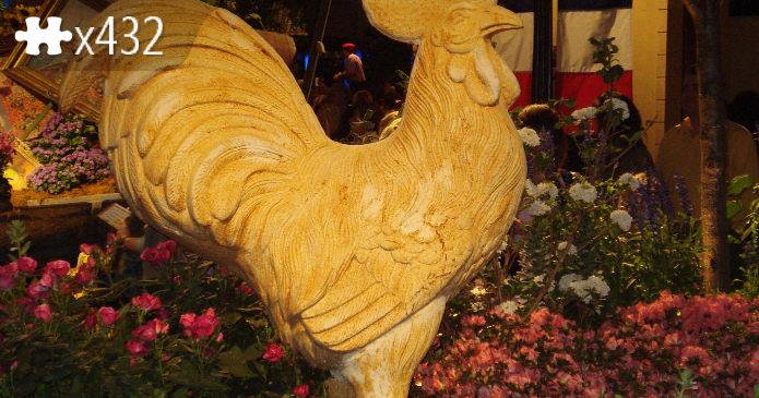 cock a doodle do