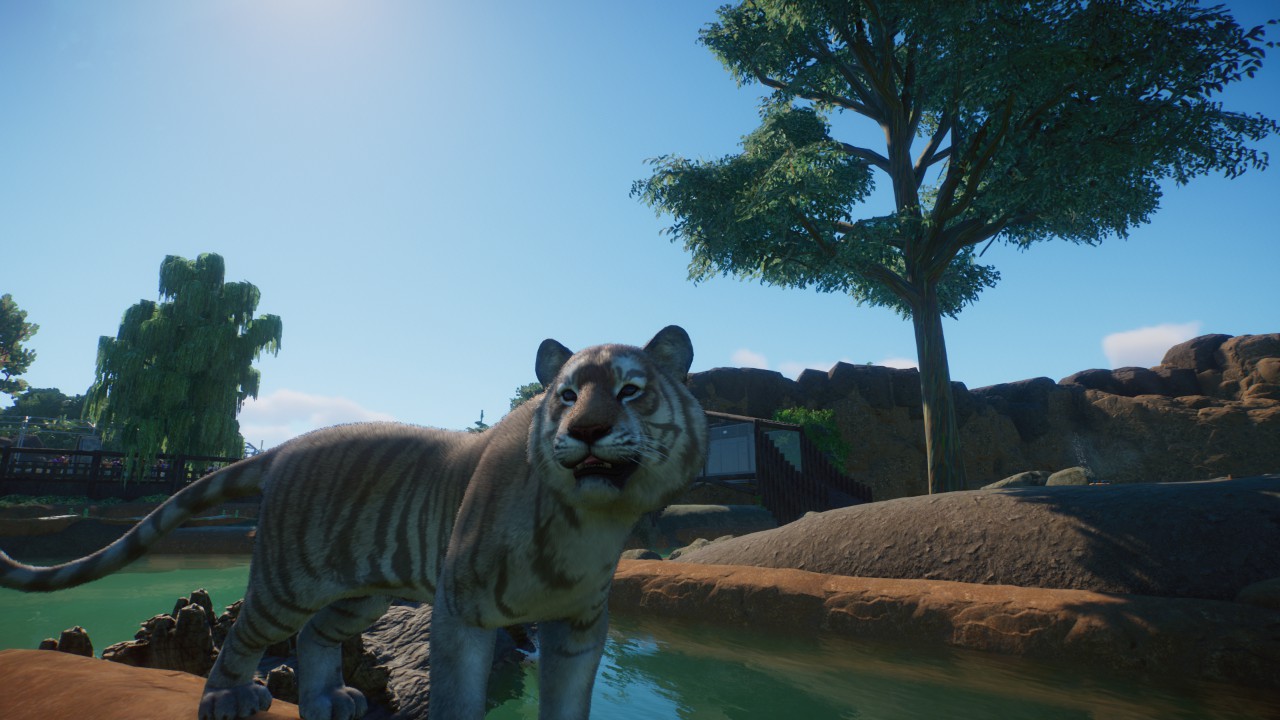 Memphis Zoo | UNFINISHED | By Wolfgirlharper