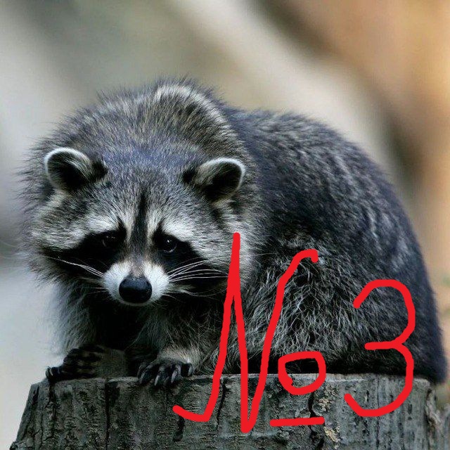 Енотий пакетик №3