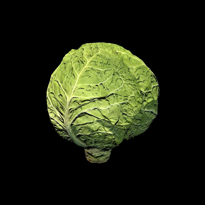 Food, Vegetable, Cabbage 1