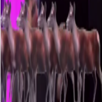degens pack #1