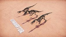Utahraptor Skeleton