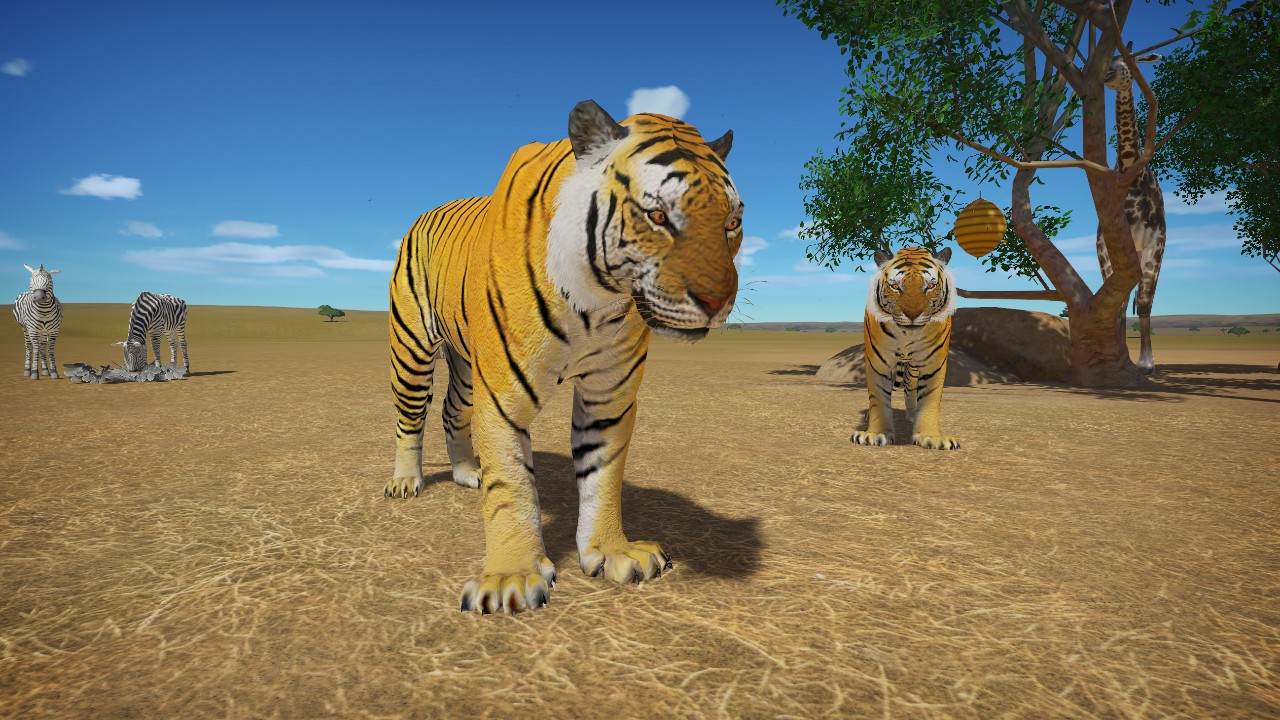 Tiger #2 - Wary (animated)