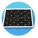 Black and Gold