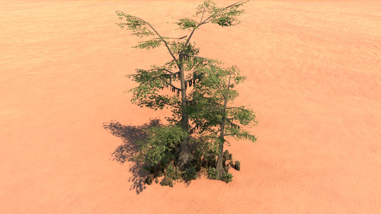 Wetland cluster