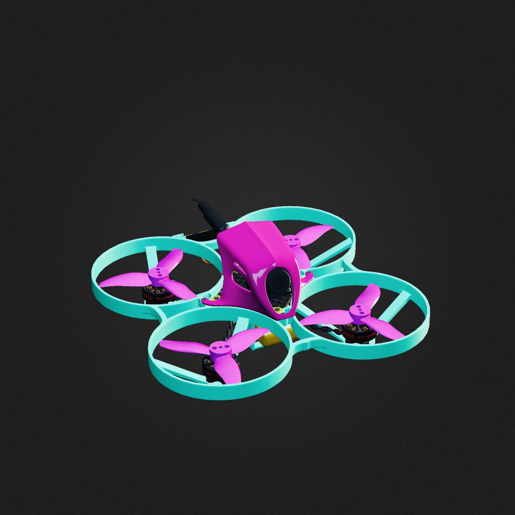 birdy whoop