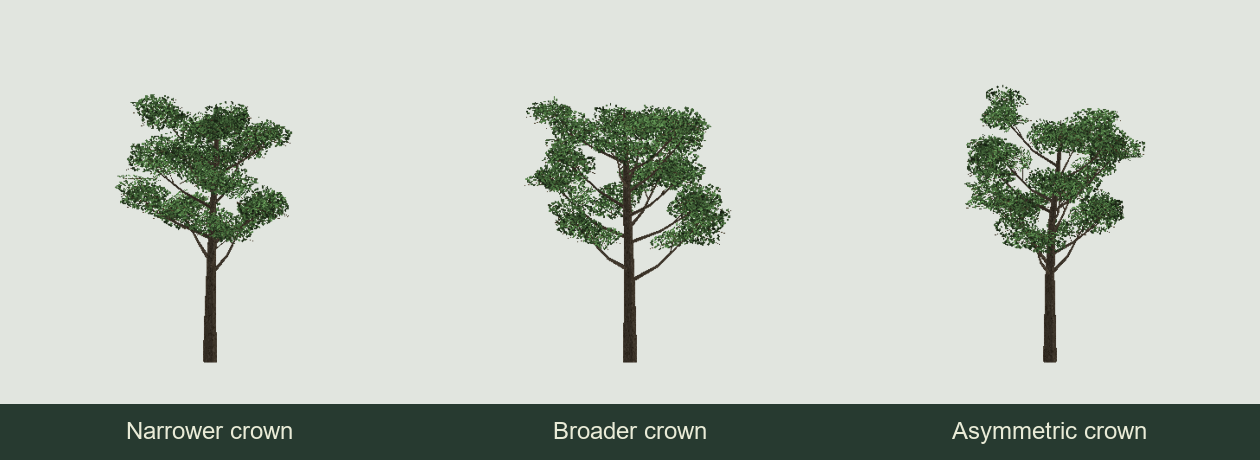Steam Workshop::Project Viewpoint: KK's TREE in 3D （Animated & Seasonal）