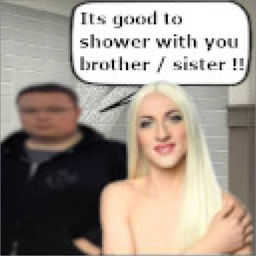 Orion shower w Broster