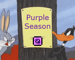 Purple Team is actually Purple