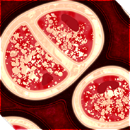 The Cancer Virus