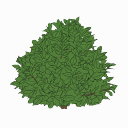 更多植物 mod preview for RimWorld