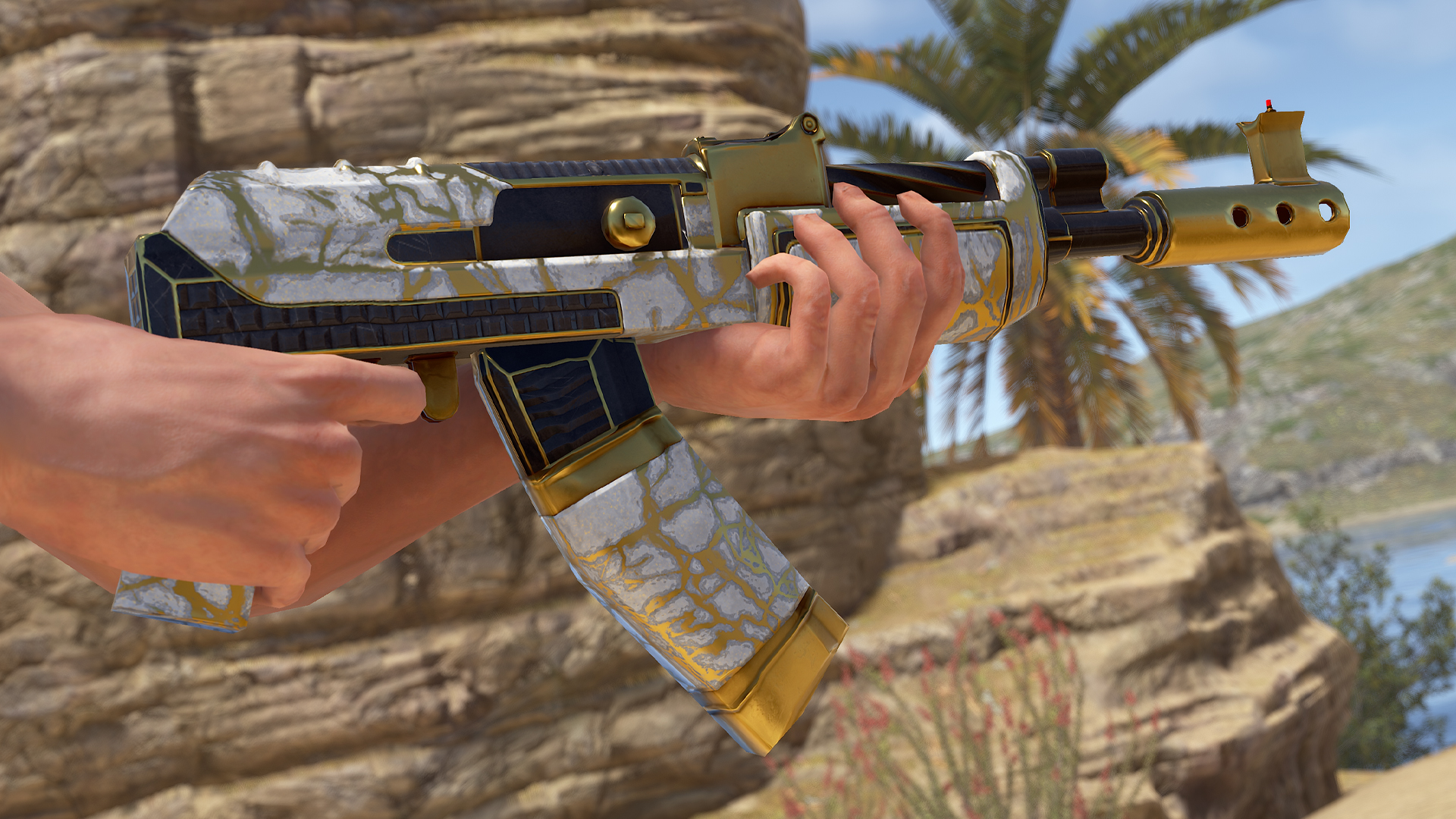 Olympus AR thumbnail 11