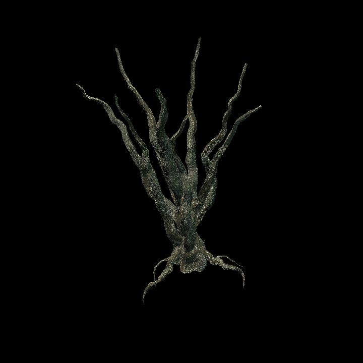Nature, Tree, Oak, Bare 3