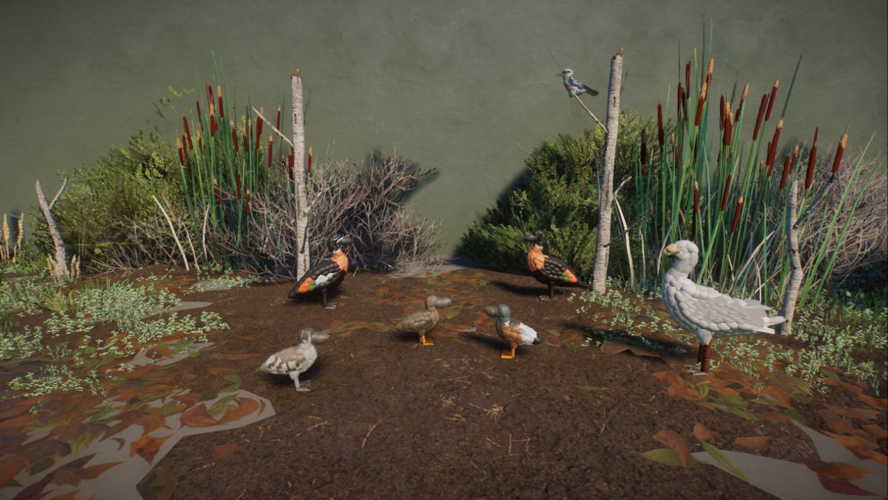 Rick's Australian Wetlands Birds preview