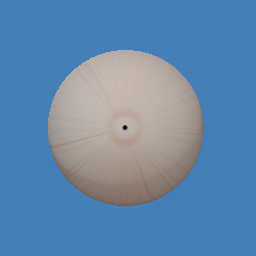 eyeball
