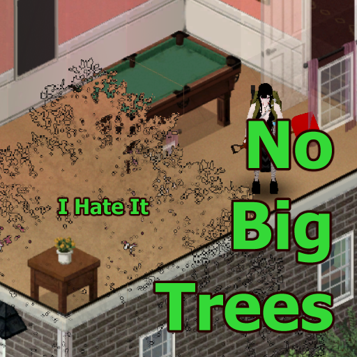 No Big Trees