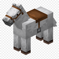 Thalidomide horses