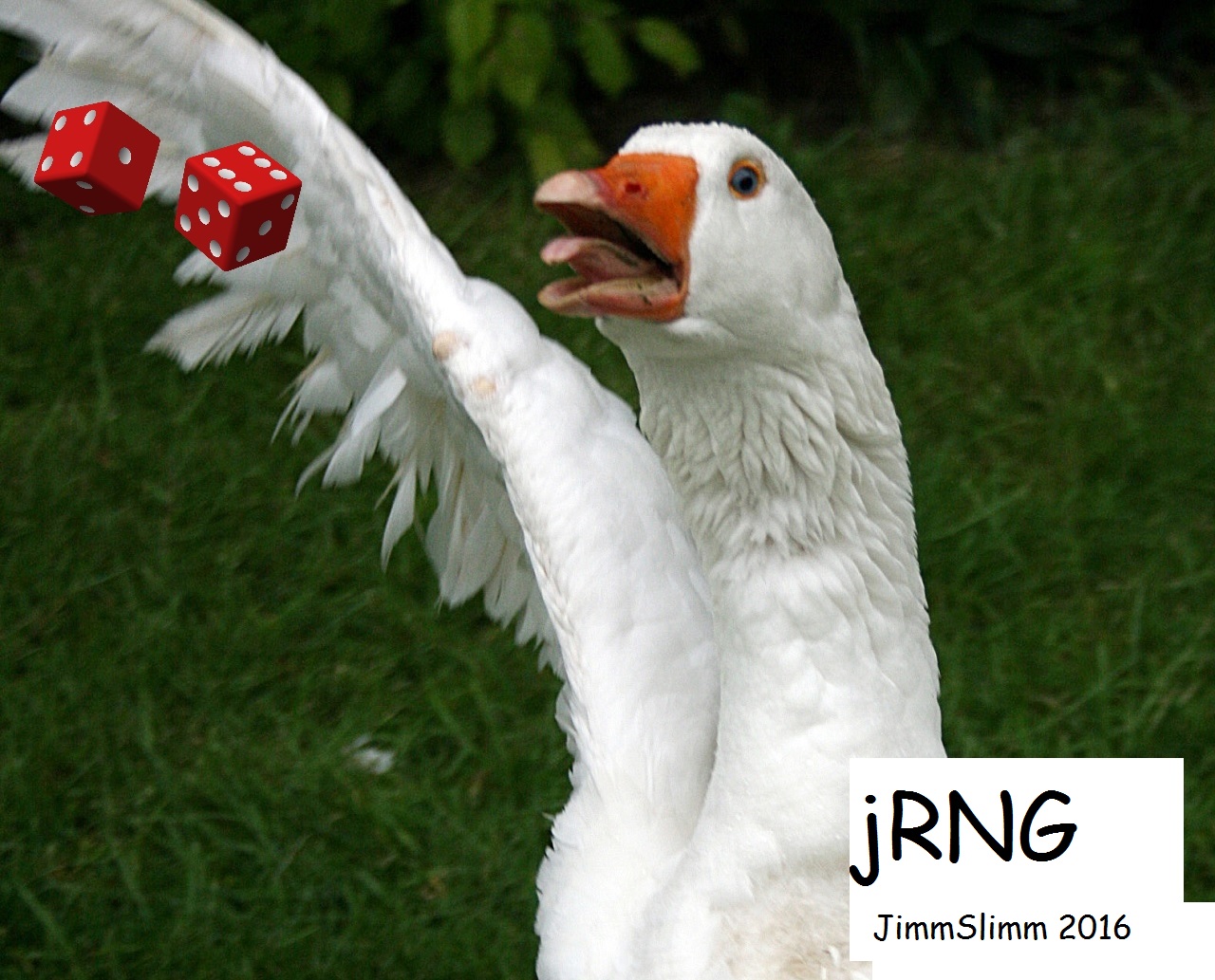 jRNG