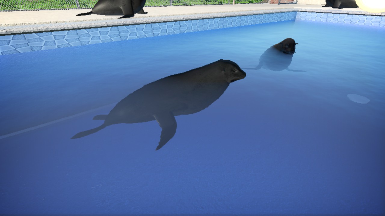 Sea Lion Static Laydown