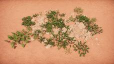 Grassland paleo cluster