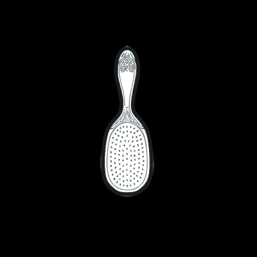 Hairbrush 1