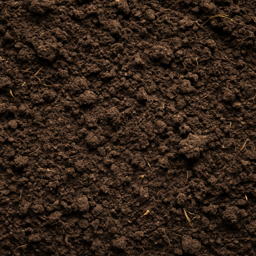 SOIL