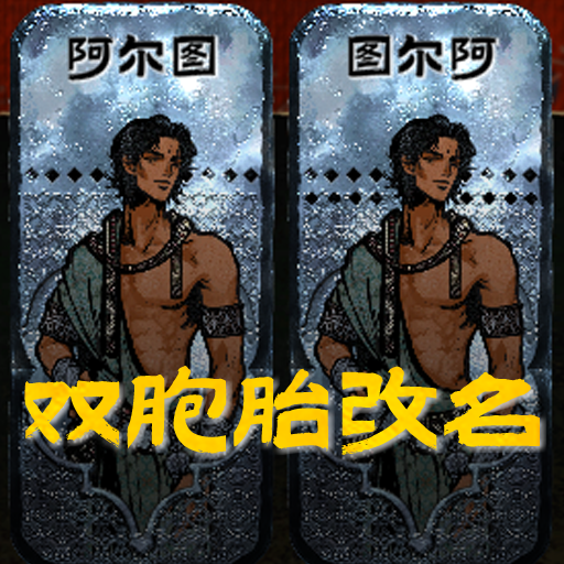 双胞胎改名