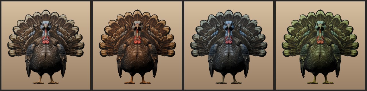 Turkeys
