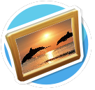 Bottlenose Sunset