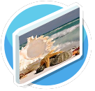 Ocean Treasures