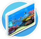 Under the Sea