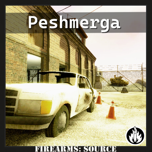 Firearms: Source - Peshmerga