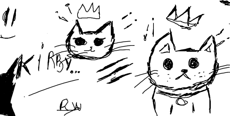 kirby cat