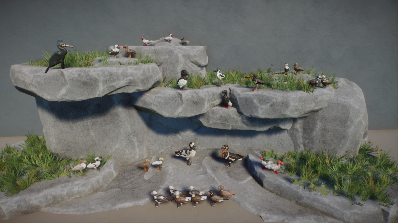 Rick's North Atlantic Birds preview