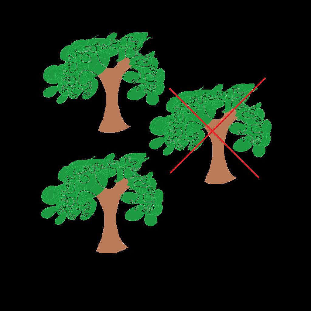 Forest Thinning Module