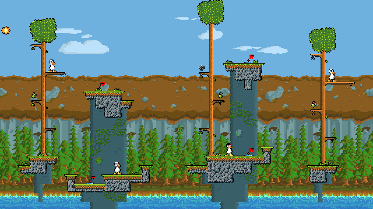 forest11