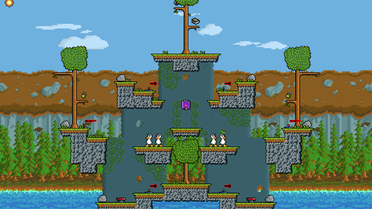 forest13