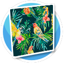 Parrot wall