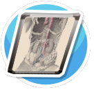 Medical history 14
