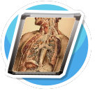 Medical history 30