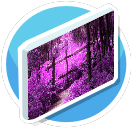 Picture  - Purple 4