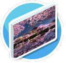 Picture - Purple 6