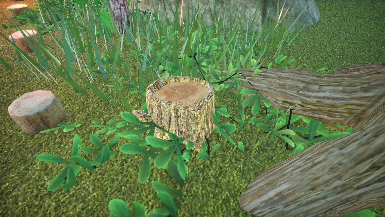 Tree Stump