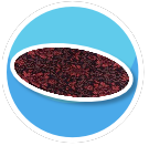 rug6